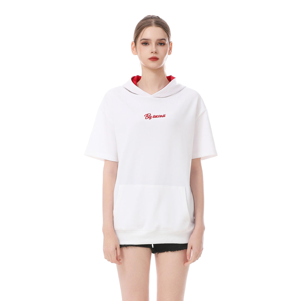 Letter Embroidery Hoodie DT3992