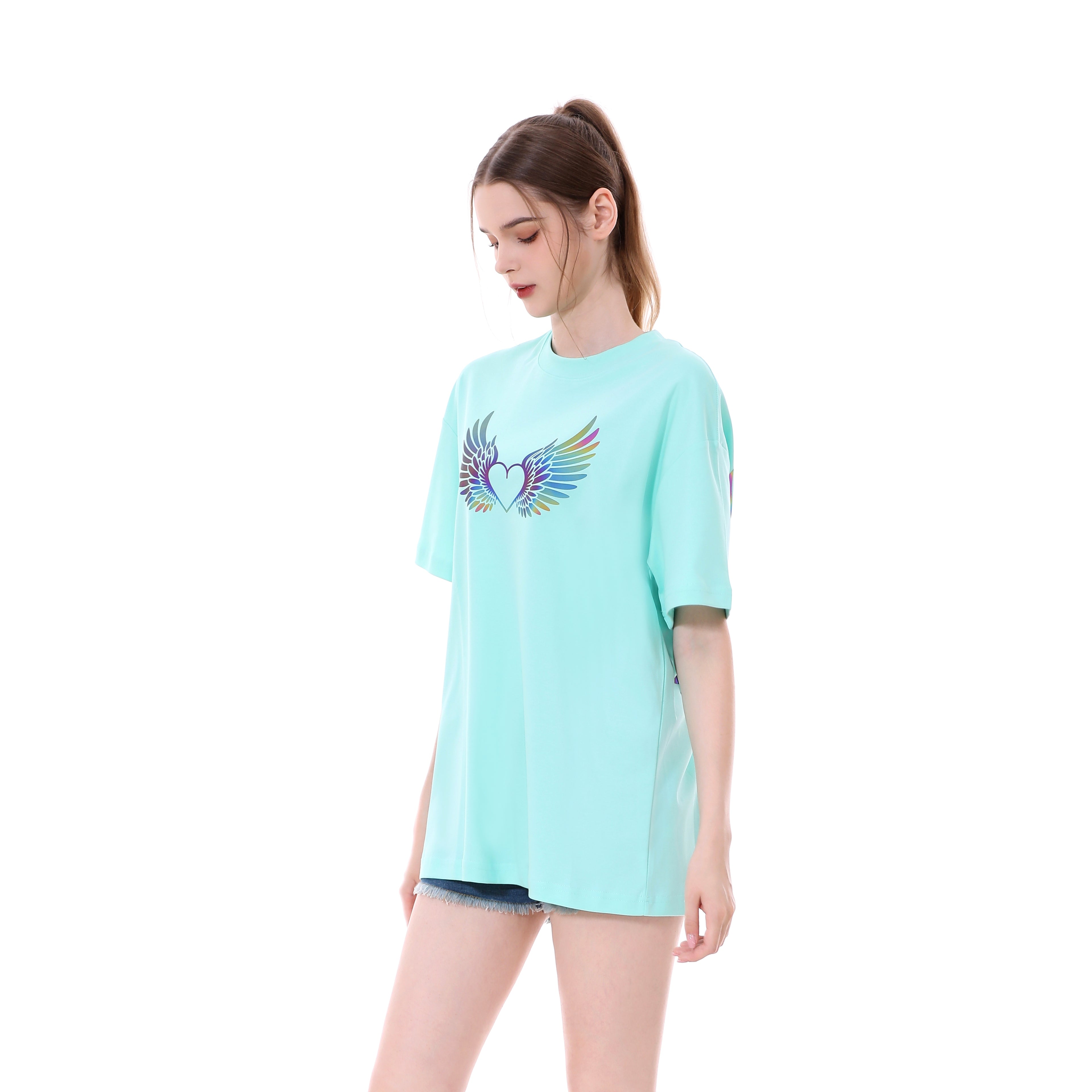 Reflective Wings  DT1908